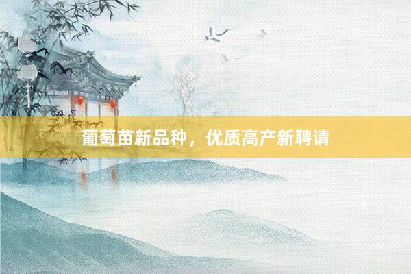 葡萄苗新品种,优质高产新聘请